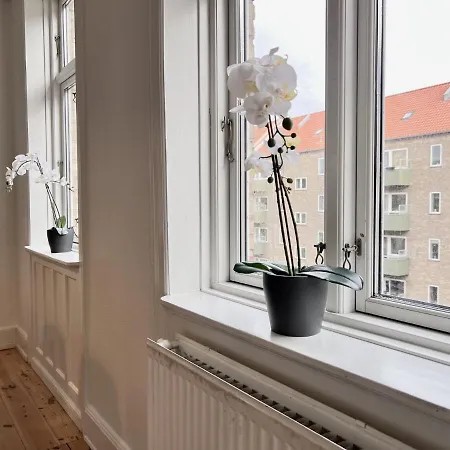 Lejlighed Two Bedroom In Copenhagen, Woltersgade 9,